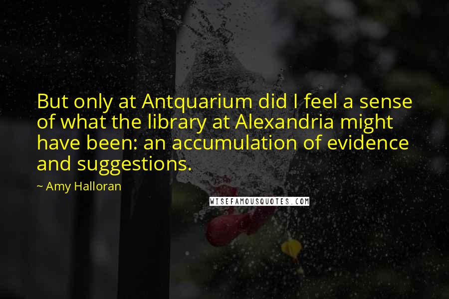 Amy Halloran Quotes: But only at Antquarium did I feel a sense of what the library at Alexandria might have been: an accumulation of evidence and suggestions.