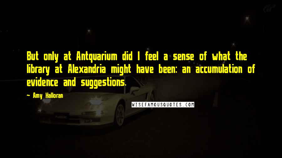 Amy Halloran Quotes: But only at Antquarium did I feel a sense of what the library at Alexandria might have been: an accumulation of evidence and suggestions.