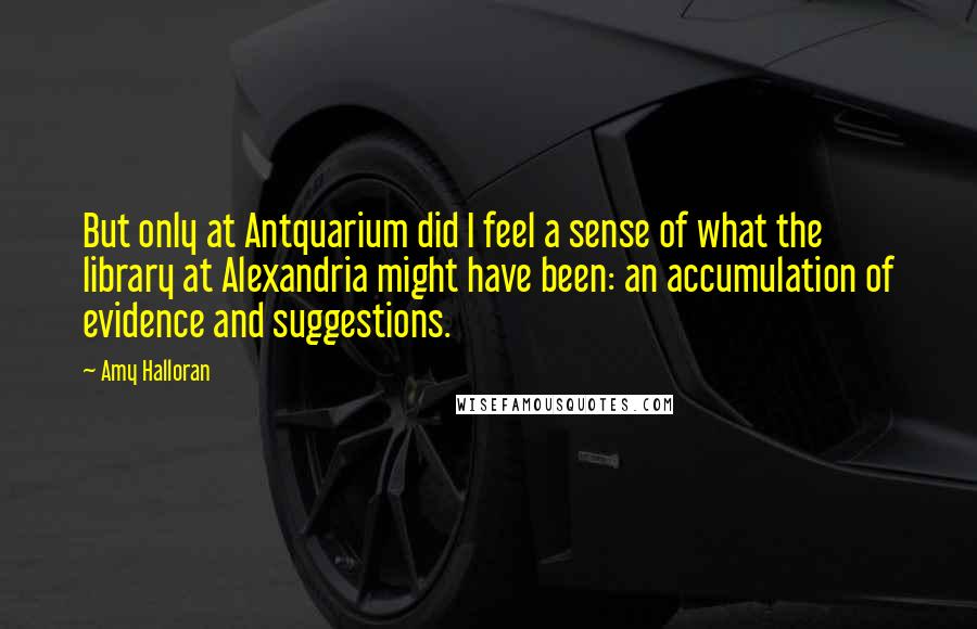 Amy Halloran Quotes: But only at Antquarium did I feel a sense of what the library at Alexandria might have been: an accumulation of evidence and suggestions.