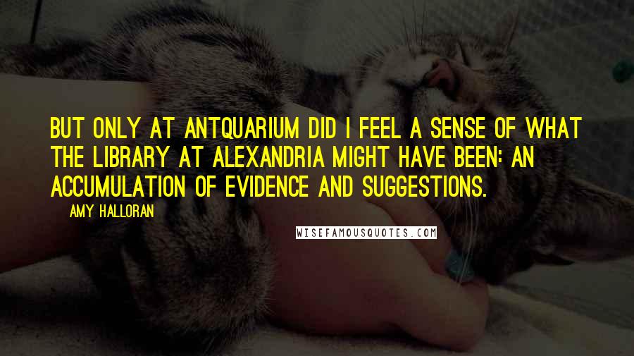 Amy Halloran Quotes: But only at Antquarium did I feel a sense of what the library at Alexandria might have been: an accumulation of evidence and suggestions.