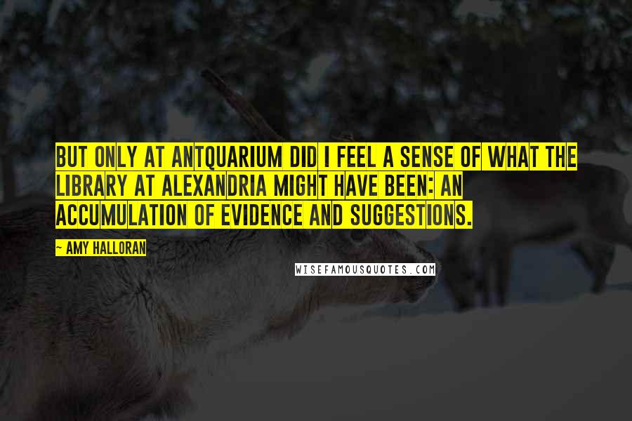 Amy Halloran Quotes: But only at Antquarium did I feel a sense of what the library at Alexandria might have been: an accumulation of evidence and suggestions.