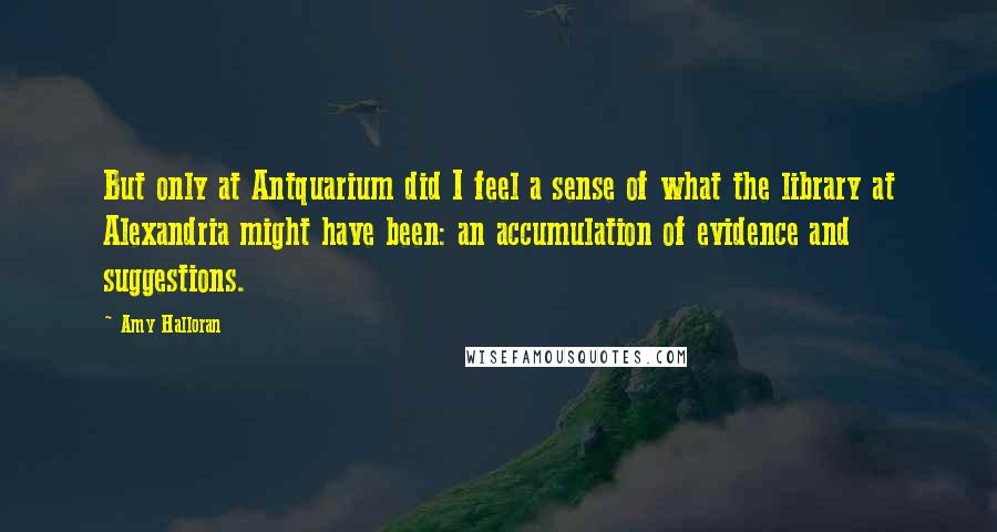 Amy Halloran Quotes: But only at Antquarium did I feel a sense of what the library at Alexandria might have been: an accumulation of evidence and suggestions.