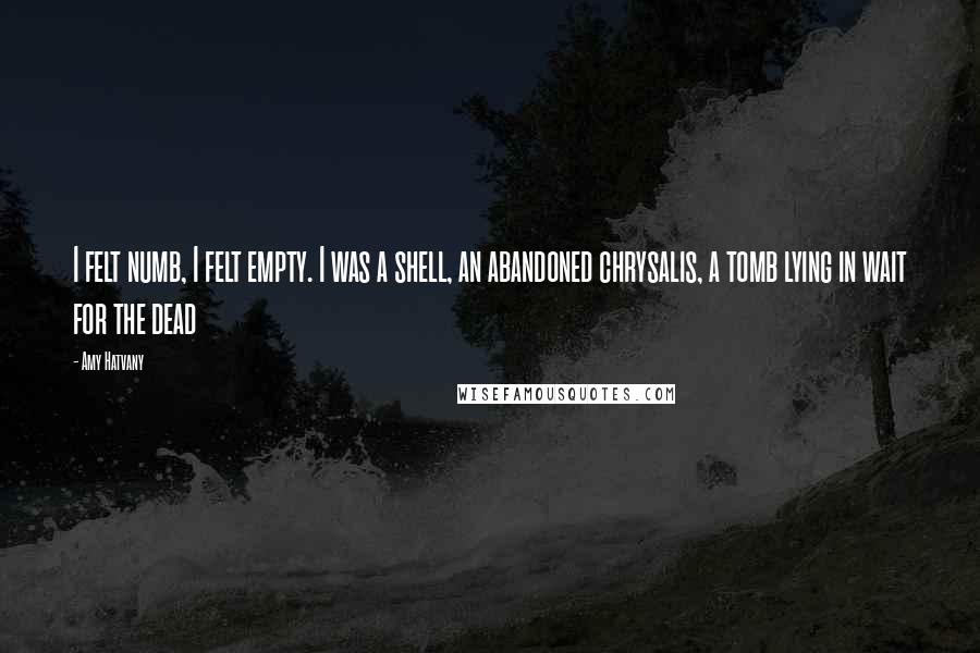 Amy Hatvany Quotes: I felt numb, I felt empty. I was a shell, an abandoned chrysalis, a tomb lying in wait for the dead