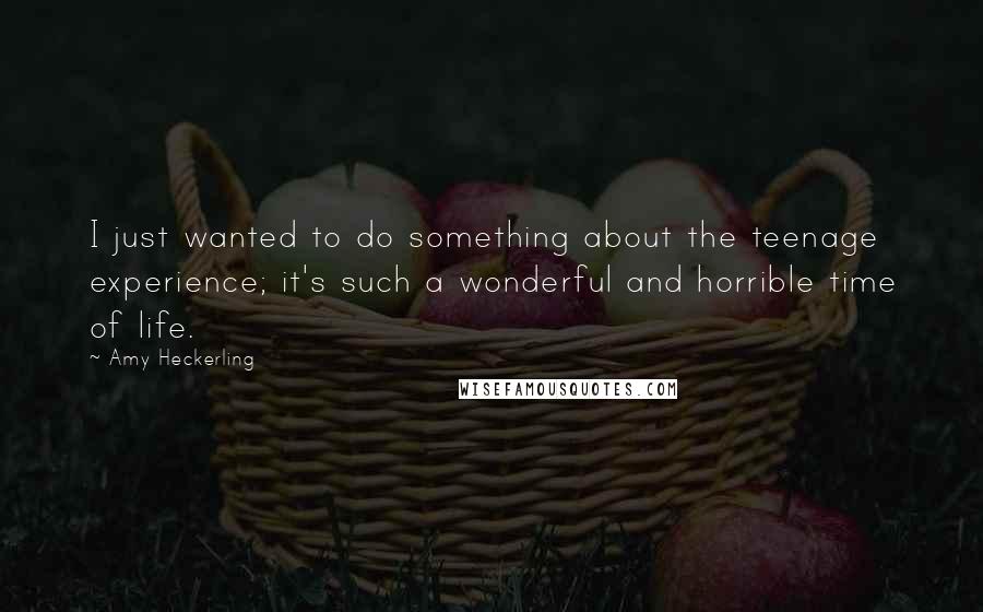 Amy Heckerling Quotes: I just wanted to do something about the teenage experience; it's such a wonderful and horrible time of life.