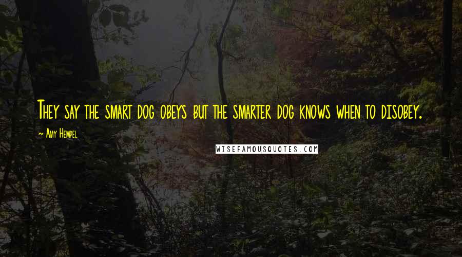 Amy Hempel Quotes: They say the smart dog obeys but the smarter dog knows when to disobey.