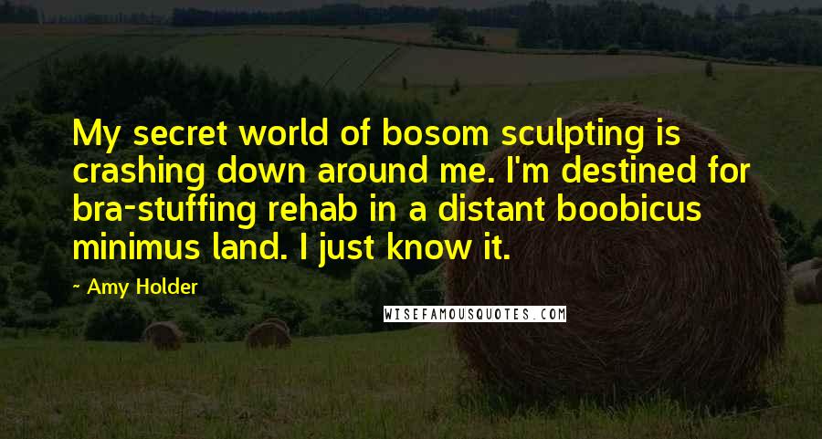 Amy Holder Quotes: My secret world of bosom sculpting is crashing down around me. I'm destined for bra-stuffing rehab in a distant boobicus minimus land. I just know it.