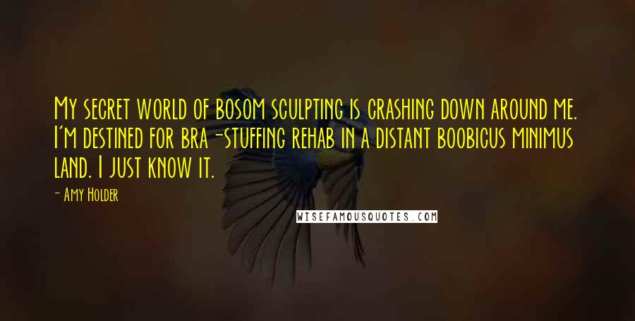 Amy Holder Quotes: My secret world of bosom sculpting is crashing down around me. I'm destined for bra-stuffing rehab in a distant boobicus minimus land. I just know it.