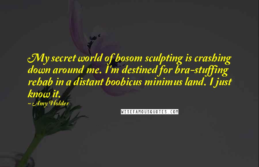 Amy Holder Quotes: My secret world of bosom sculpting is crashing down around me. I'm destined for bra-stuffing rehab in a distant boobicus minimus land. I just know it.