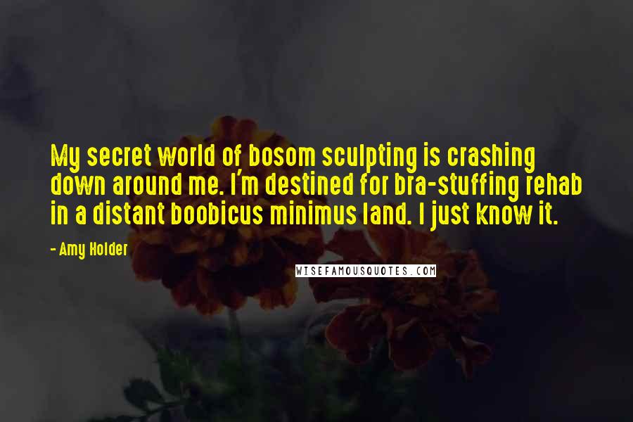 Amy Holder Quotes: My secret world of bosom sculpting is crashing down around me. I'm destined for bra-stuffing rehab in a distant boobicus minimus land. I just know it.