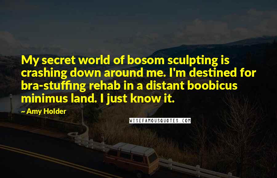 Amy Holder Quotes: My secret world of bosom sculpting is crashing down around me. I'm destined for bra-stuffing rehab in a distant boobicus minimus land. I just know it.