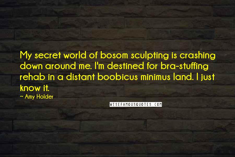 Amy Holder Quotes: My secret world of bosom sculpting is crashing down around me. I'm destined for bra-stuffing rehab in a distant boobicus minimus land. I just know it.