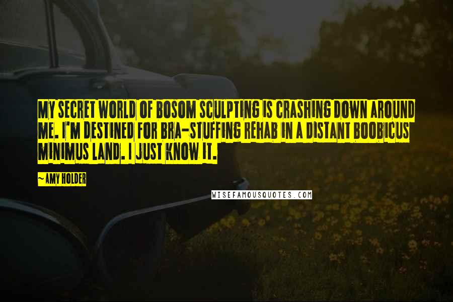 Amy Holder Quotes: My secret world of bosom sculpting is crashing down around me. I'm destined for bra-stuffing rehab in a distant boobicus minimus land. I just know it.