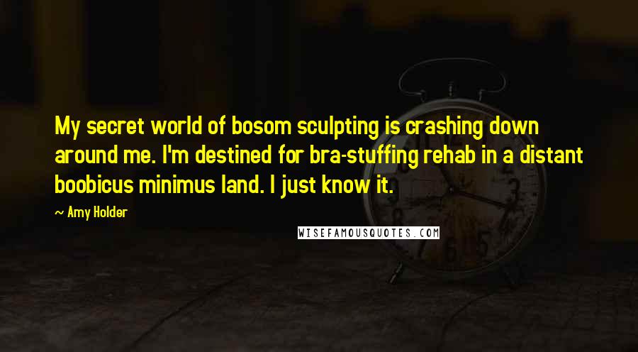 Amy Holder Quotes: My secret world of bosom sculpting is crashing down around me. I'm destined for bra-stuffing rehab in a distant boobicus minimus land. I just know it.