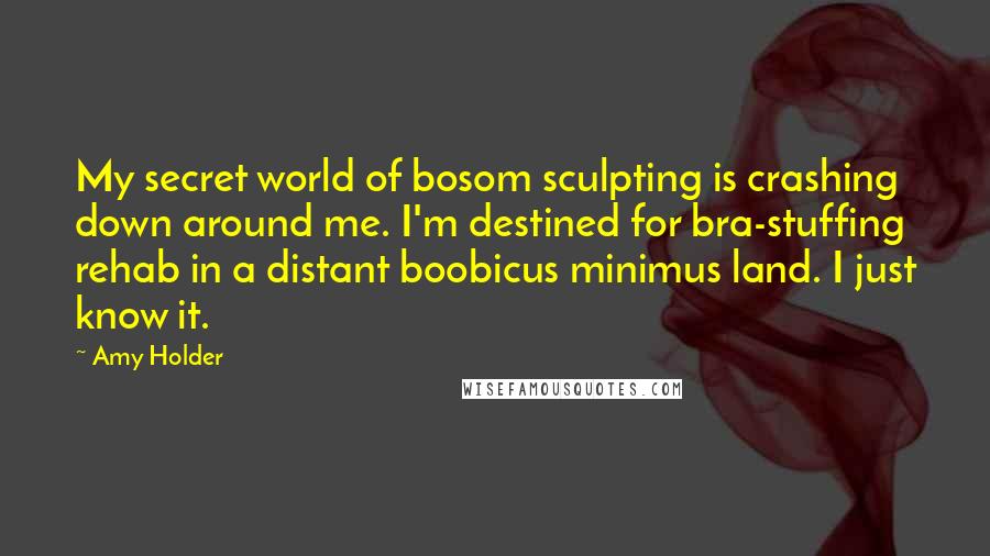Amy Holder Quotes: My secret world of bosom sculpting is crashing down around me. I'm destined for bra-stuffing rehab in a distant boobicus minimus land. I just know it.