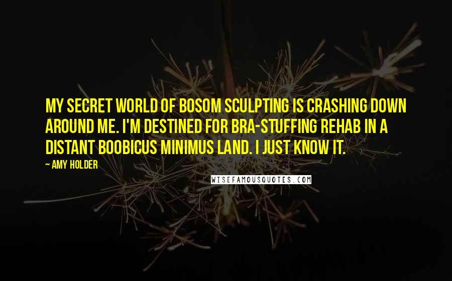 Amy Holder Quotes: My secret world of bosom sculpting is crashing down around me. I'm destined for bra-stuffing rehab in a distant boobicus minimus land. I just know it.