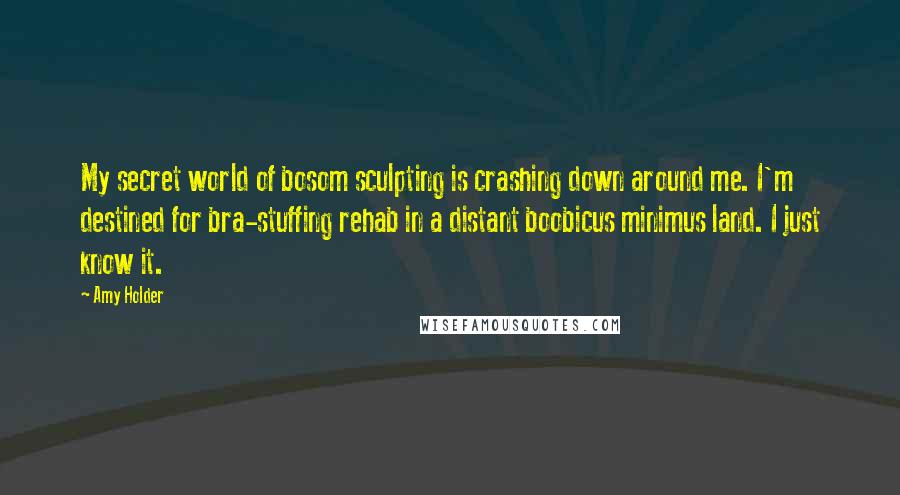 Amy Holder Quotes: My secret world of bosom sculpting is crashing down around me. I'm destined for bra-stuffing rehab in a distant boobicus minimus land. I just know it.