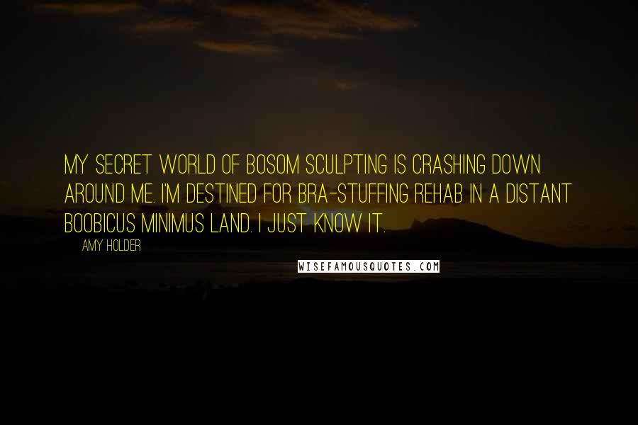 Amy Holder Quotes: My secret world of bosom sculpting is crashing down around me. I'm destined for bra-stuffing rehab in a distant boobicus minimus land. I just know it.