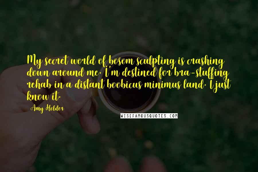 Amy Holder Quotes: My secret world of bosom sculpting is crashing down around me. I'm destined for bra-stuffing rehab in a distant boobicus minimus land. I just know it.