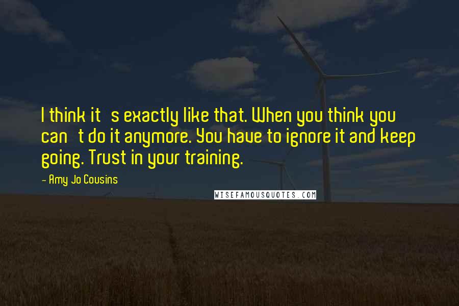 Amy Jo Cousins Quotes: I think it's exactly like that. When you think you can't do it anymore. You have to ignore it and keep going. Trust in your training.