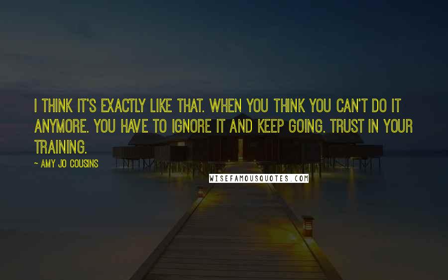 Amy Jo Cousins Quotes: I think it's exactly like that. When you think you can't do it anymore. You have to ignore it and keep going. Trust in your training.