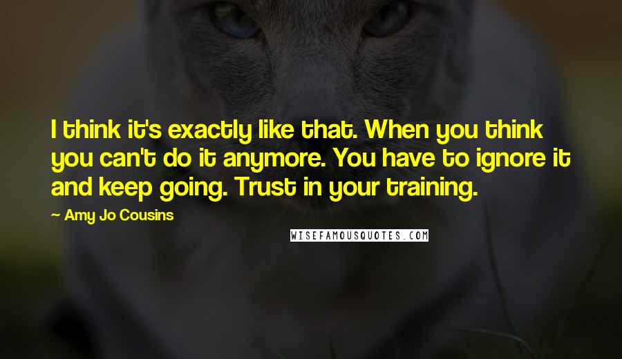 Amy Jo Cousins Quotes: I think it's exactly like that. When you think you can't do it anymore. You have to ignore it and keep going. Trust in your training.