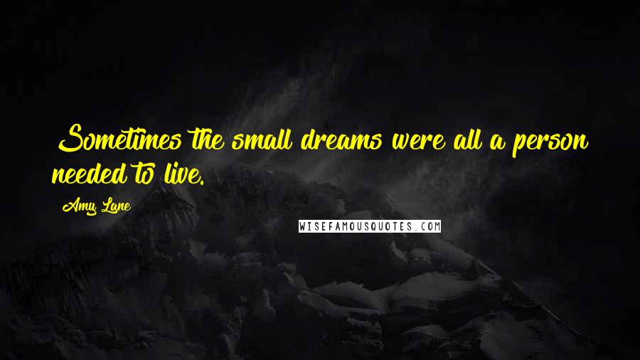 Amy Lane Quotes: Sometimes the small dreams were all a person needed to live.