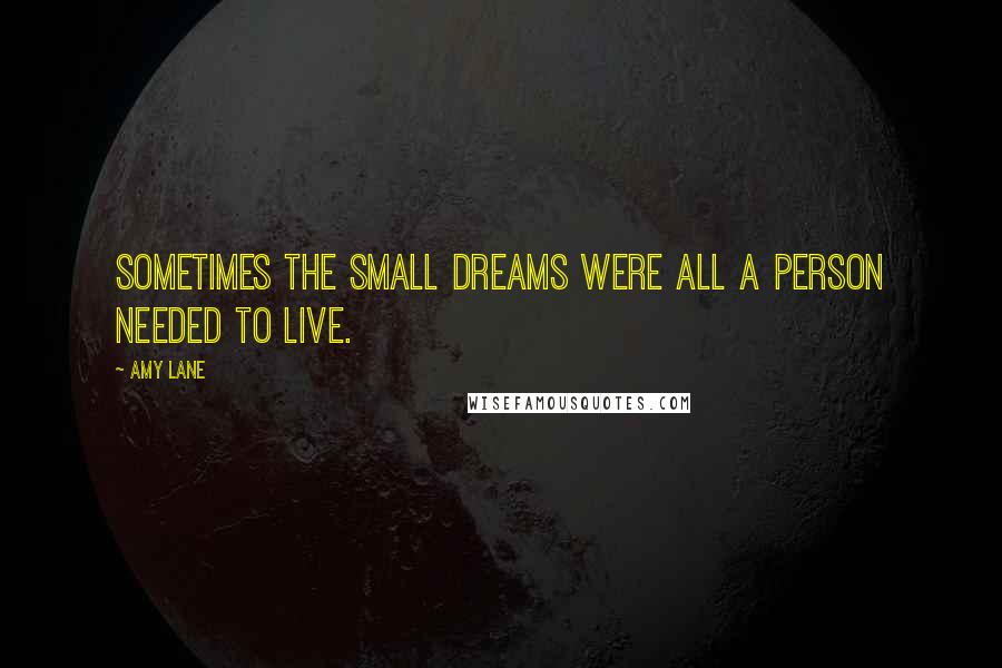 Amy Lane Quotes: Sometimes the small dreams were all a person needed to live.