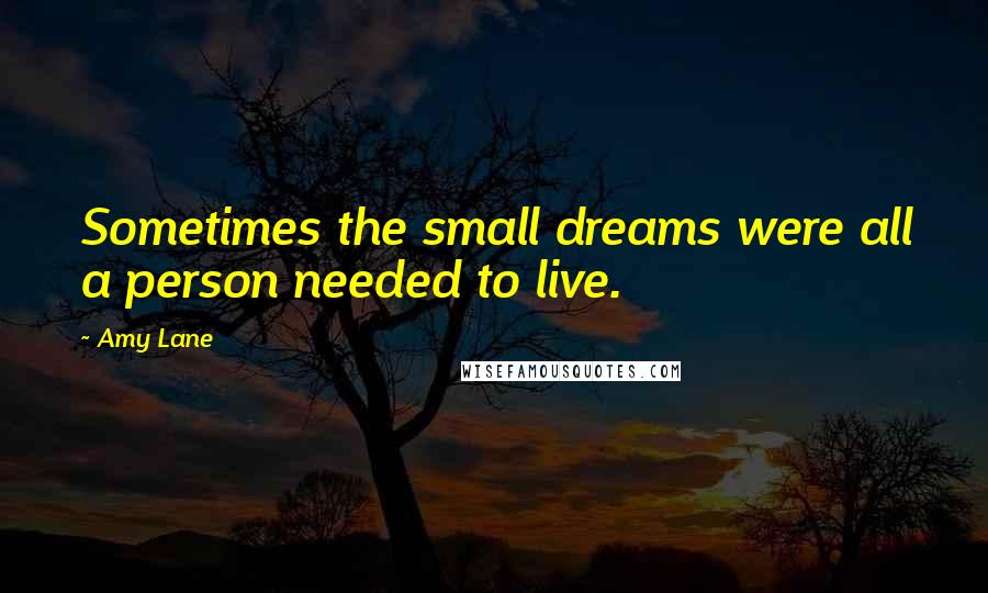 Amy Lane Quotes: Sometimes the small dreams were all a person needed to live.