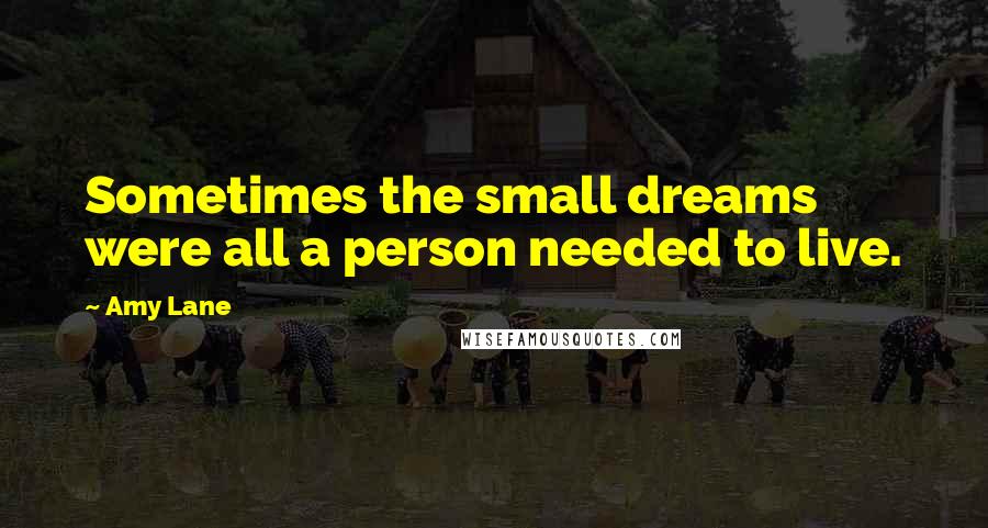 Amy Lane Quotes: Sometimes the small dreams were all a person needed to live.