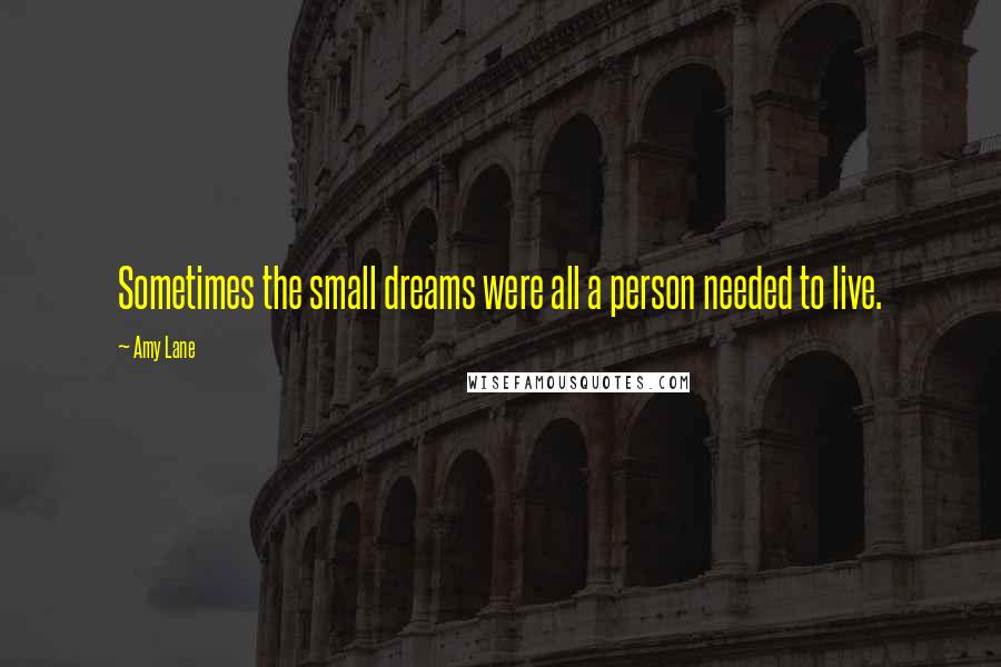 Amy Lane Quotes: Sometimes the small dreams were all a person needed to live.