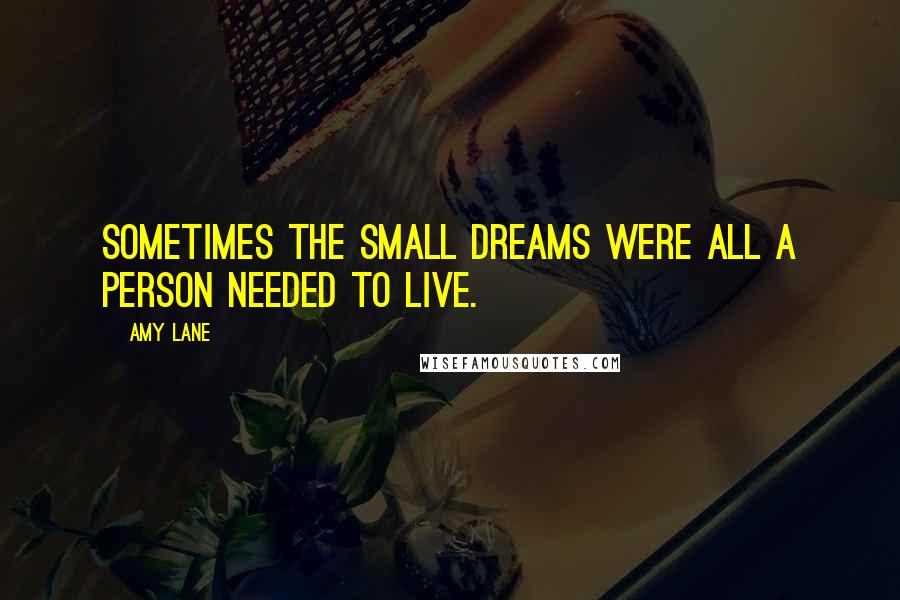 Amy Lane Quotes: Sometimes the small dreams were all a person needed to live.