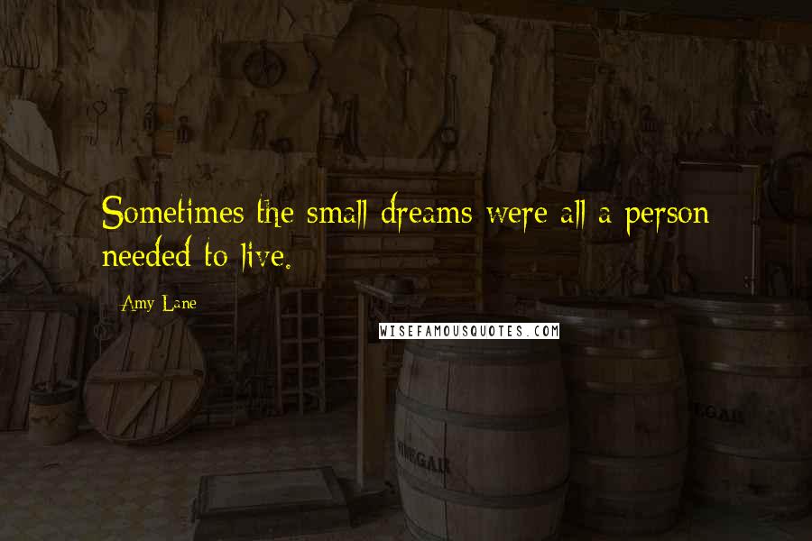 Amy Lane Quotes: Sometimes the small dreams were all a person needed to live.