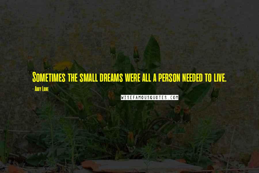 Amy Lane Quotes: Sometimes the small dreams were all a person needed to live.