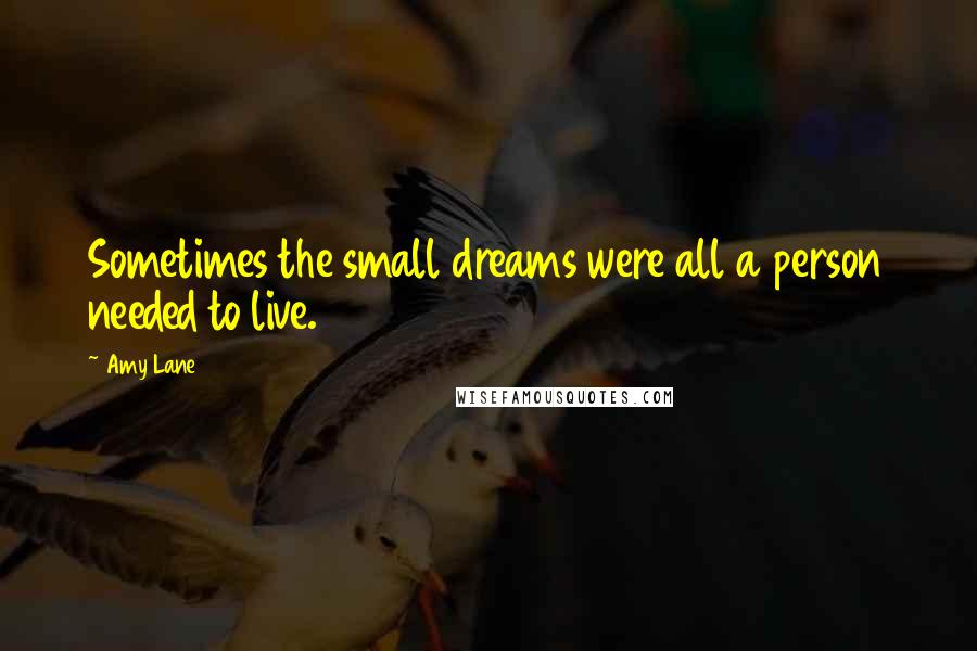 Amy Lane Quotes: Sometimes the small dreams were all a person needed to live.