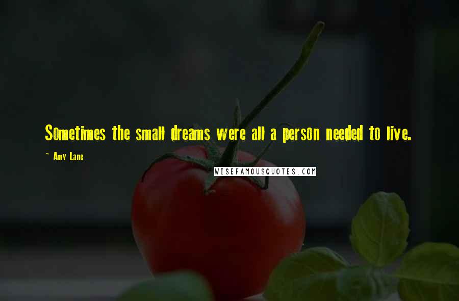 Amy Lane Quotes: Sometimes the small dreams were all a person needed to live.