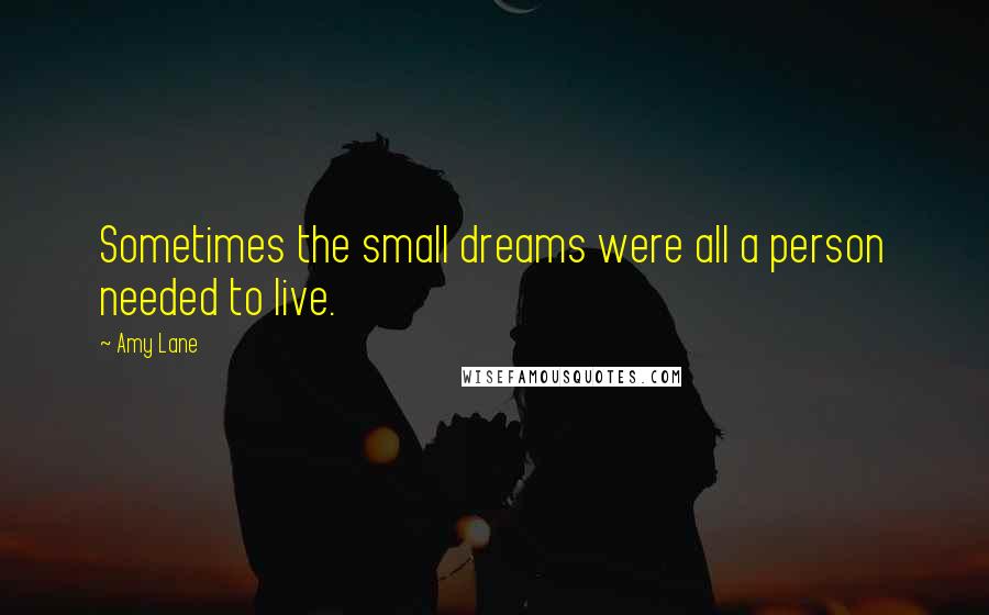 Amy Lane Quotes: Sometimes the small dreams were all a person needed to live.