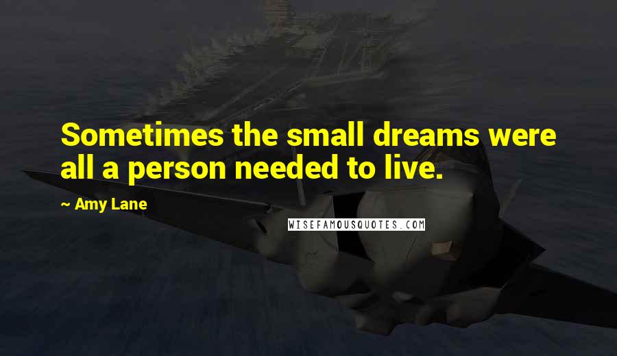 Amy Lane Quotes: Sometimes the small dreams were all a person needed to live.