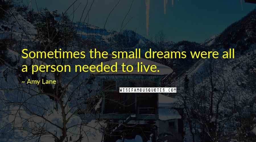 Amy Lane Quotes: Sometimes the small dreams were all a person needed to live.