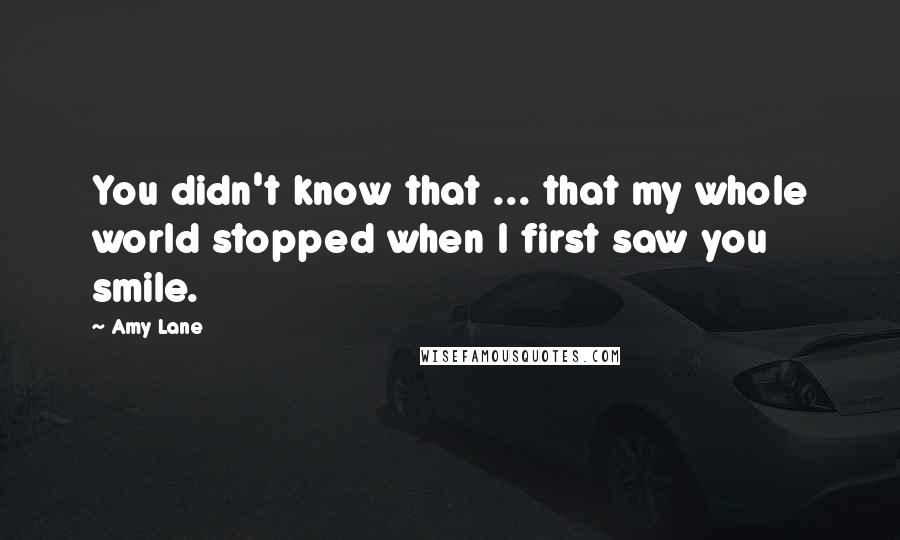 Amy Lane Quotes: You didn't know that ... that my whole world stopped when I first saw you smile.