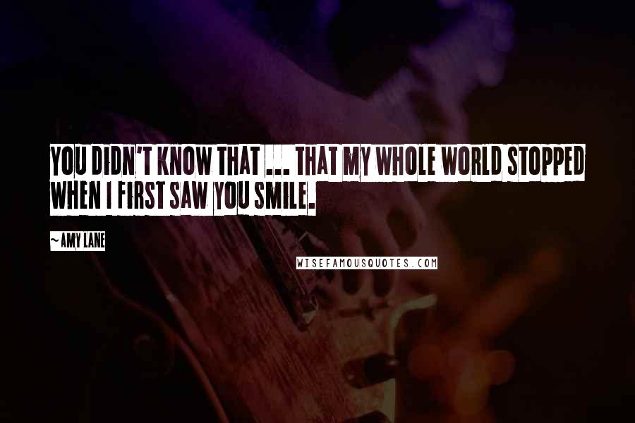 Amy Lane Quotes: You didn't know that ... that my whole world stopped when I first saw you smile.