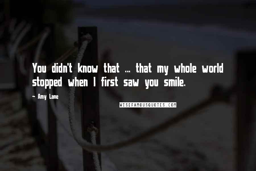 Amy Lane Quotes: You didn't know that ... that my whole world stopped when I first saw you smile.