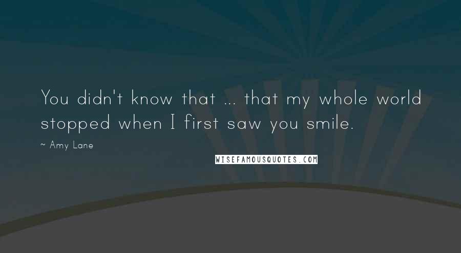 Amy Lane Quotes: You didn't know that ... that my whole world stopped when I first saw you smile.