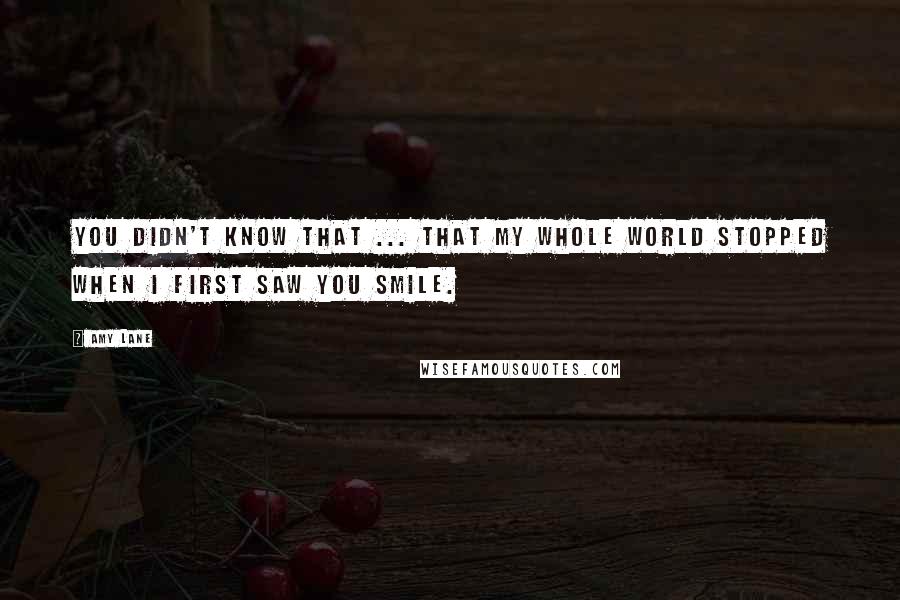 Amy Lane Quotes: You didn't know that ... that my whole world stopped when I first saw you smile.