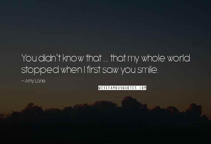 Amy Lane Quotes: You didn't know that ... that my whole world stopped when I first saw you smile.