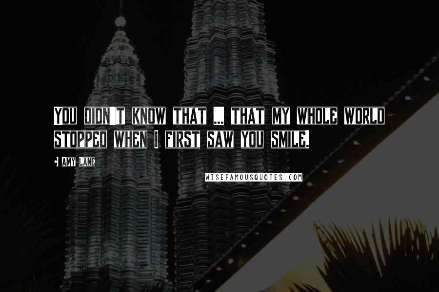 Amy Lane Quotes: You didn't know that ... that my whole world stopped when I first saw you smile.