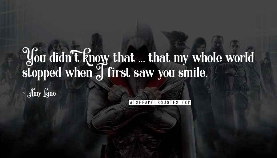 Amy Lane Quotes: You didn't know that ... that my whole world stopped when I first saw you smile.