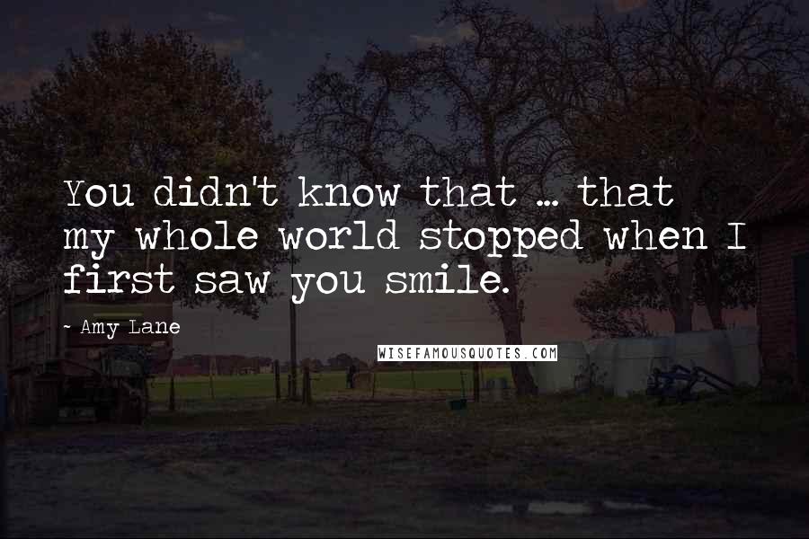 Amy Lane Quotes: You didn't know that ... that my whole world stopped when I first saw you smile.