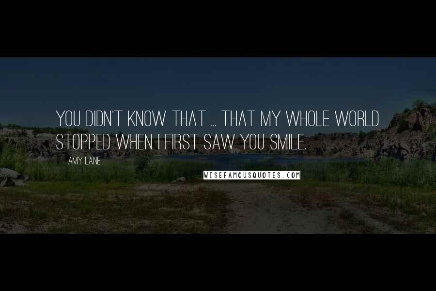 Amy Lane Quotes: You didn't know that ... that my whole world stopped when I first saw you smile.