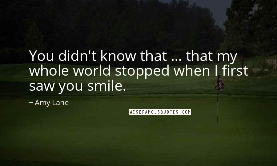 Amy Lane Quotes: You didn't know that ... that my whole world stopped when I first saw you smile.