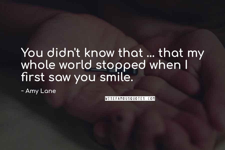 Amy Lane Quotes: You didn't know that ... that my whole world stopped when I first saw you smile.